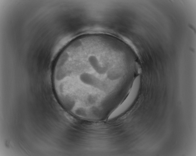 X0000091501464200709131840