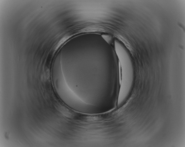 X0000091501465200709131840