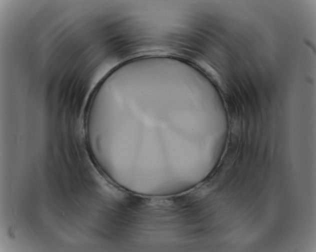 X0000091501466200709131840