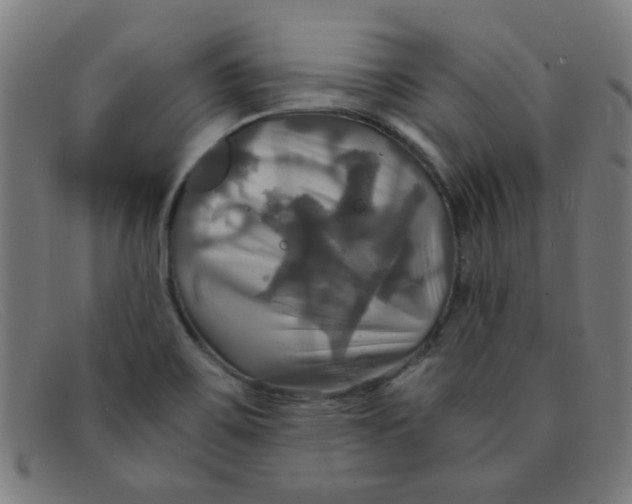 X0000091501467200709131840