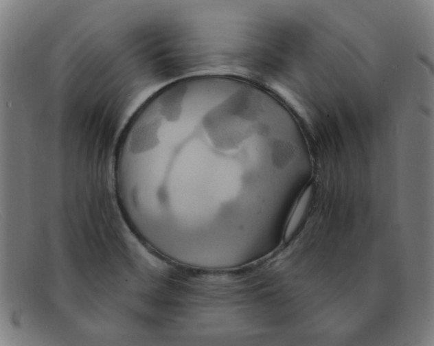 X0000091501468200709131840