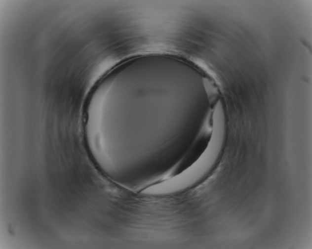 X0000091501469200709131840