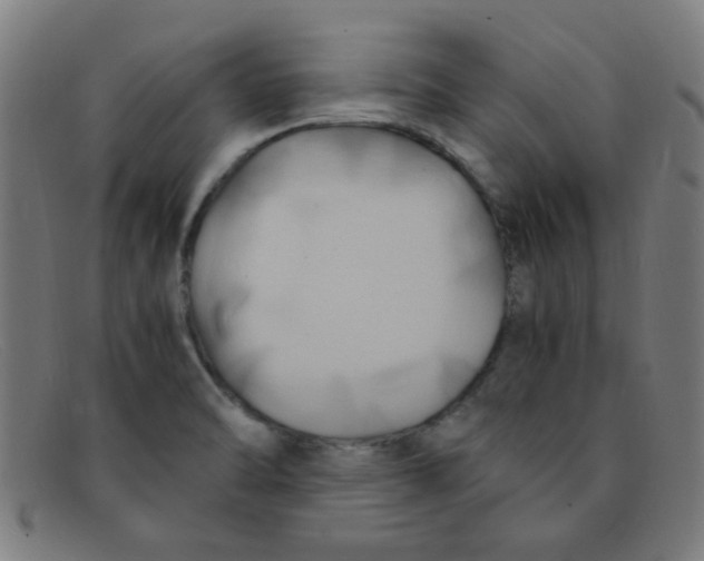 X0000091501470200709131840