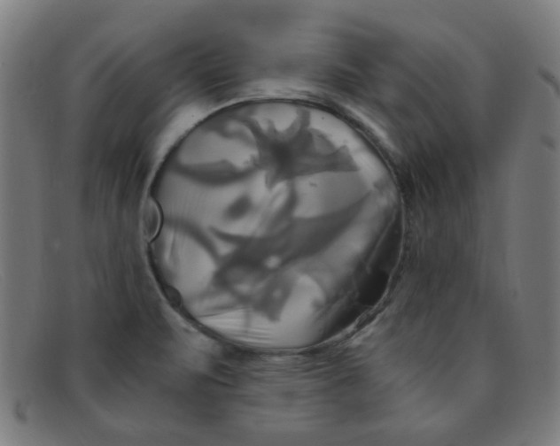 X0000091501471200709131840