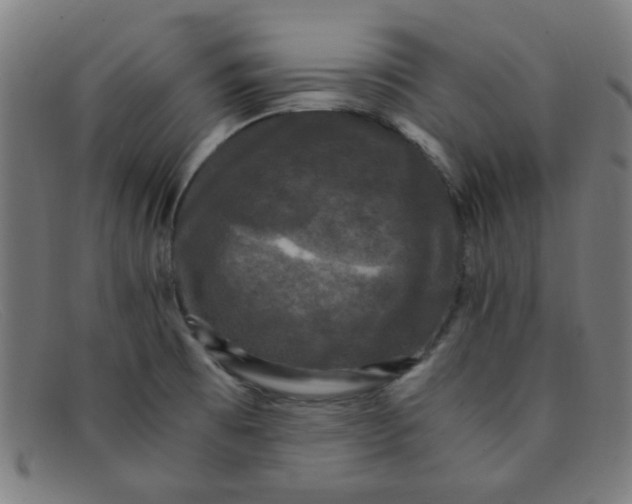 X0000091501473200709131840