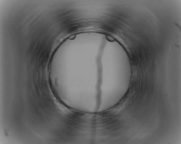 X0000091501474200709131840