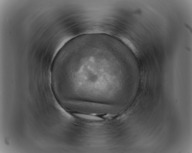 X0000091501476200709131840