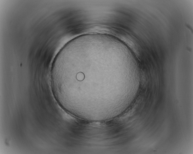 X0000091501478200709131840