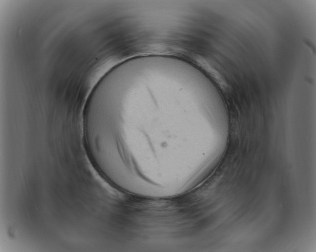 X0000091501479200709131840