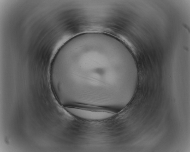 X0000091501480200709131840