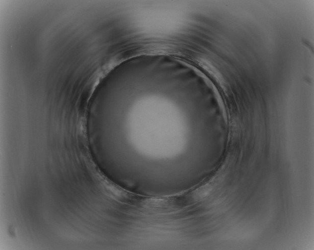 X0000091501481200709131840