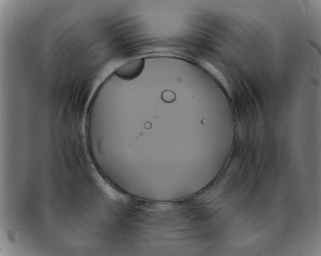 X0000091501482200709131840