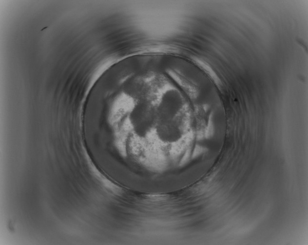 X0000091501483200709131840