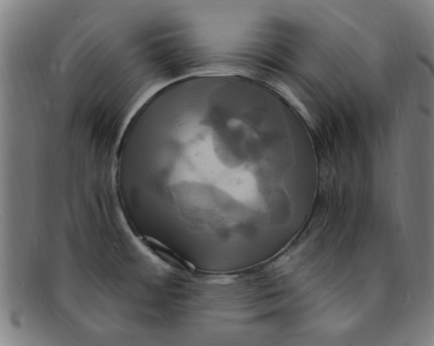 X0000091501484200709131840