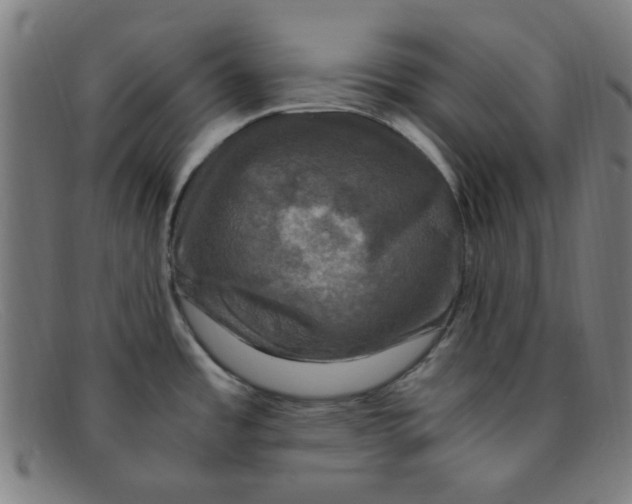 X0000091501485200709131840