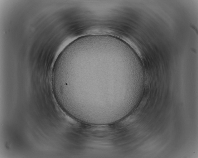 X0000091501486200709131840