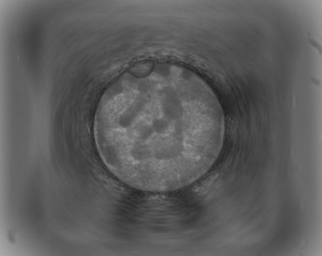 X0000091501489200709131840