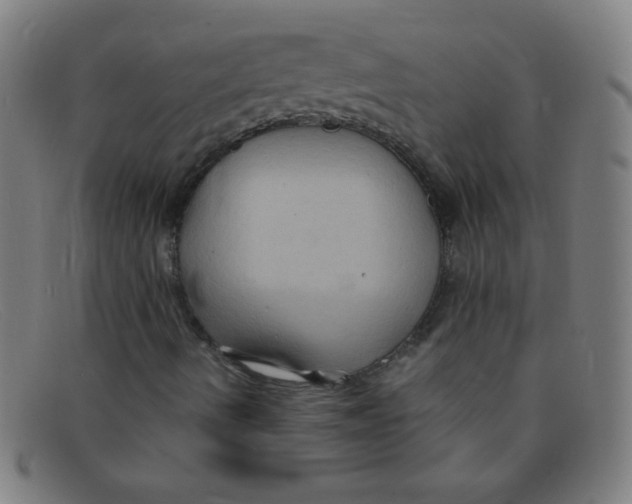 X0000091501490200709131840