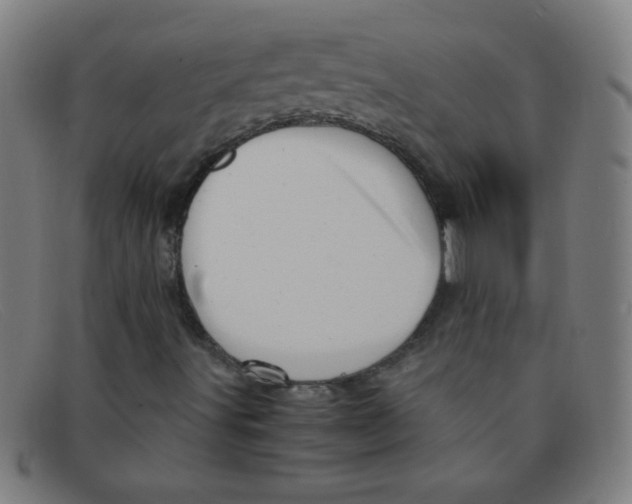 X0000091501491200709131840