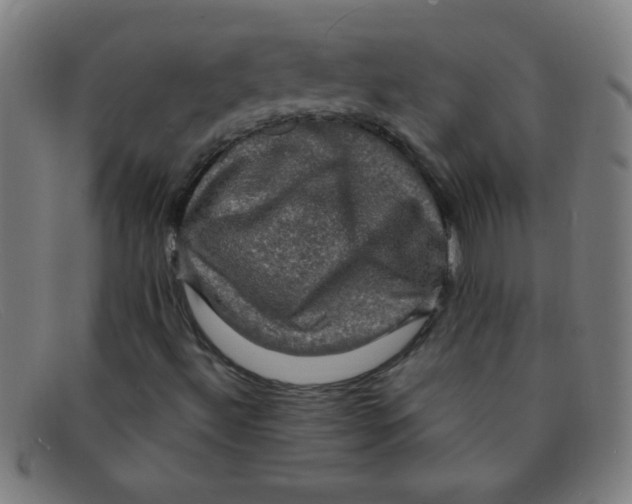 X0000091501492200709131840