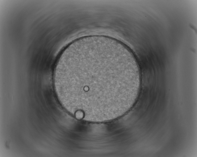 X0000091501498200709131840
