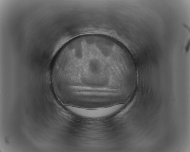 X0000091501501200709131840