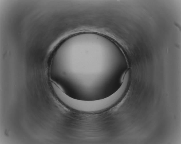 X0000091501502200709131840