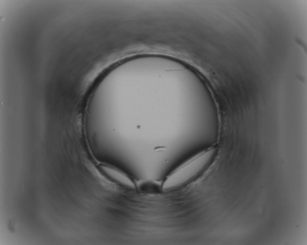 X0000091501503200709131840