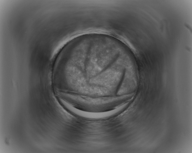 X0000091501504200709131840