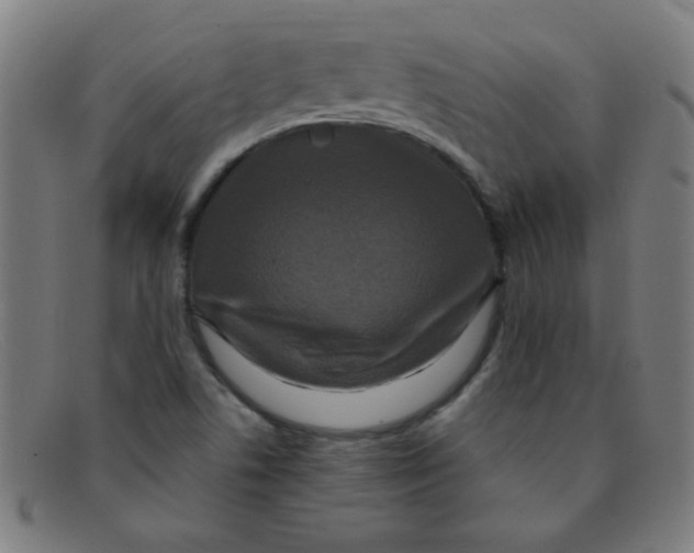 X0000091501506200709131840