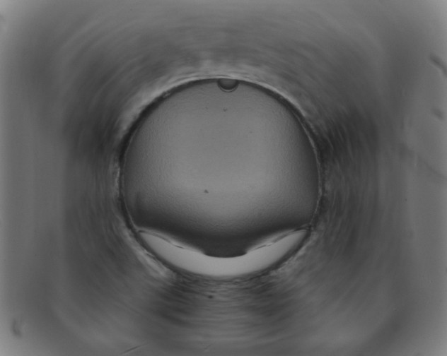 X0000091501507200709131840