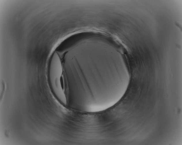 X0000091501508200709131840