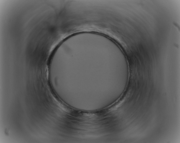 X0000091501509200709131840