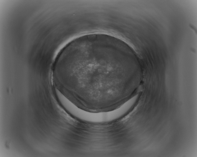 X0000091501510200709131840