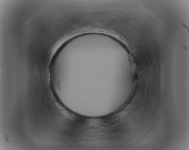 X0000091501511200709131840