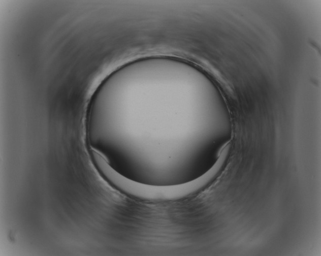 X0000091501512200709131840