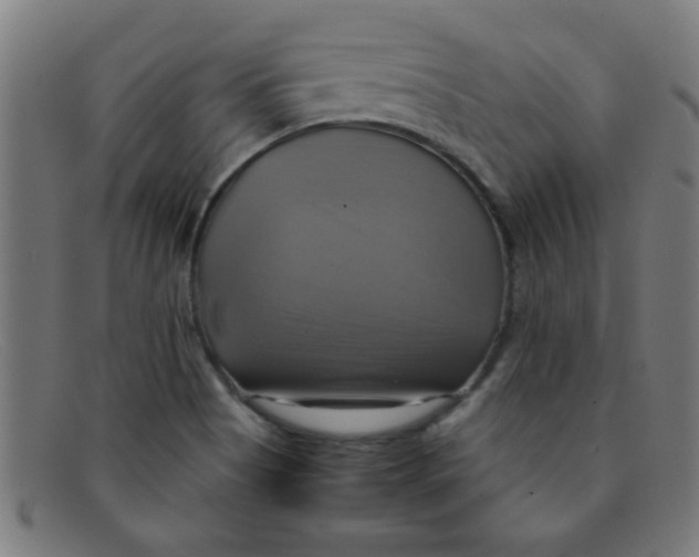 X0000091501513200709131840