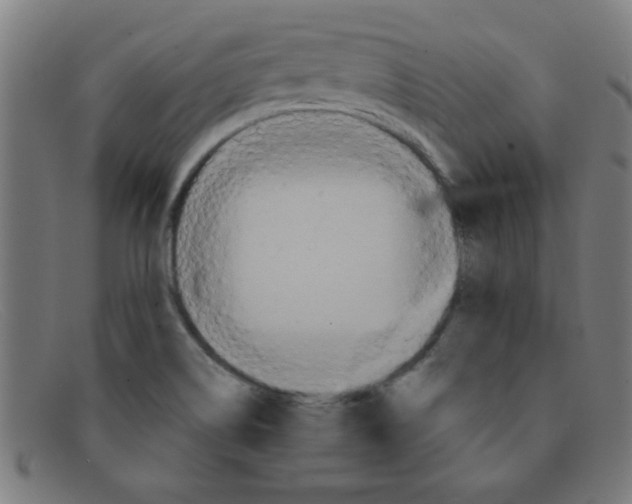 X0000091501514200709131840