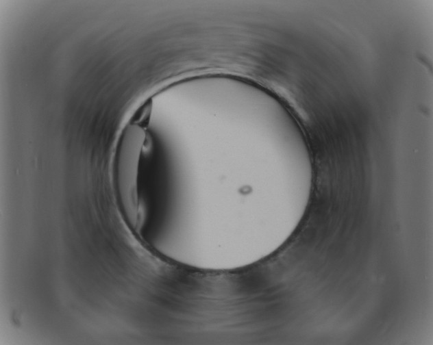 X0000091501516200709131840