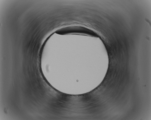 X0000091501518200709131840