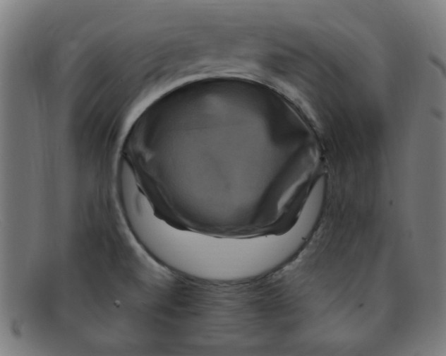 X0000091501520200709131840