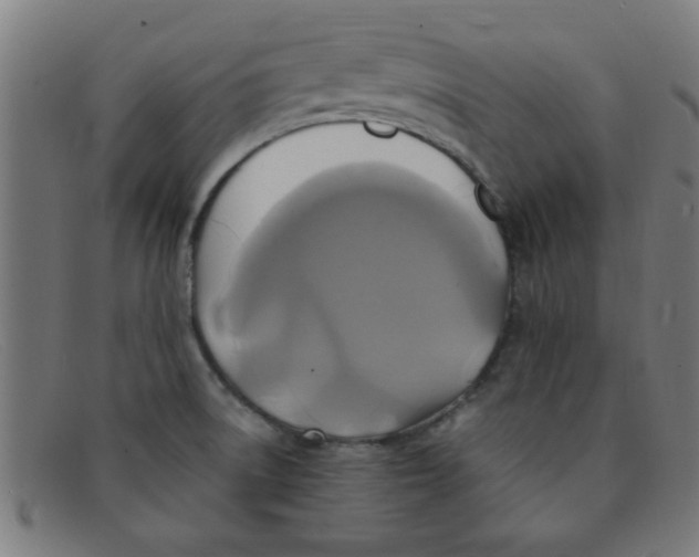 X0000091501522200709131840