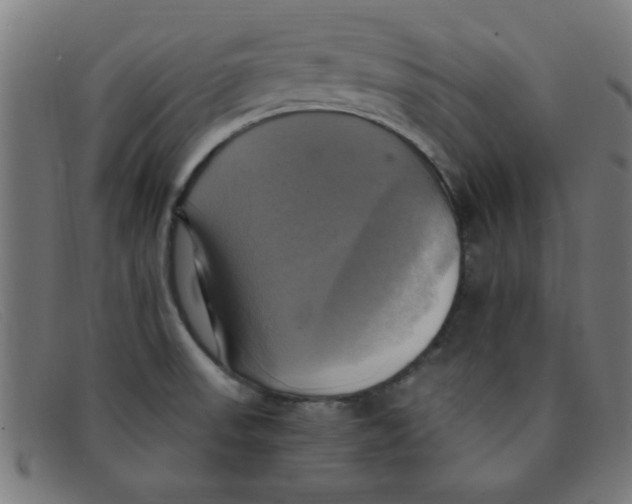 X0000091501523200709131840