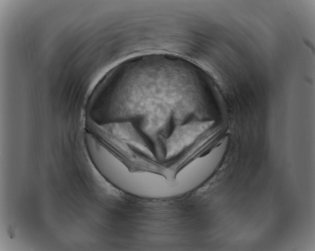 X0000091501524200709131840