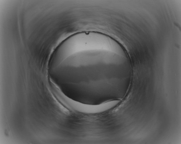 X0000091501525200709131840