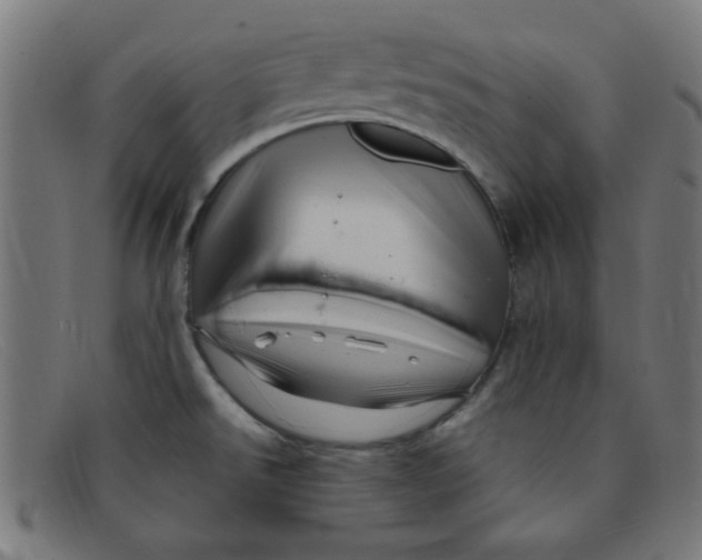 X0000091501526200709131840