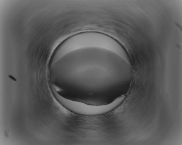 X0000091501527200709131840