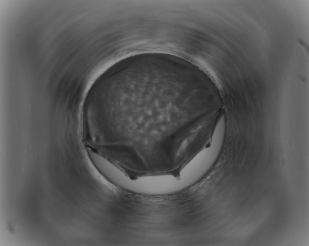 X0000091501528200709131840