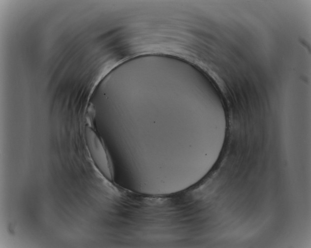 X0000091501529200709131840