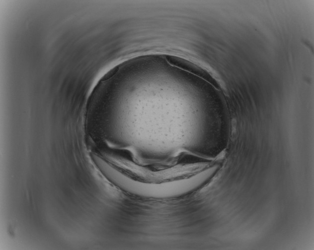 X0000091501530200709131840